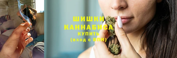 PSILOCYBIN Аркадак