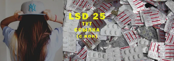 PSILOCYBIN Аркадак