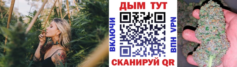Марихуана SATIVA & INDICA  hydra   Орлов 